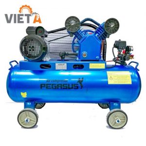 Máy nén khí Pegasus TM-W-0.36/8-120L