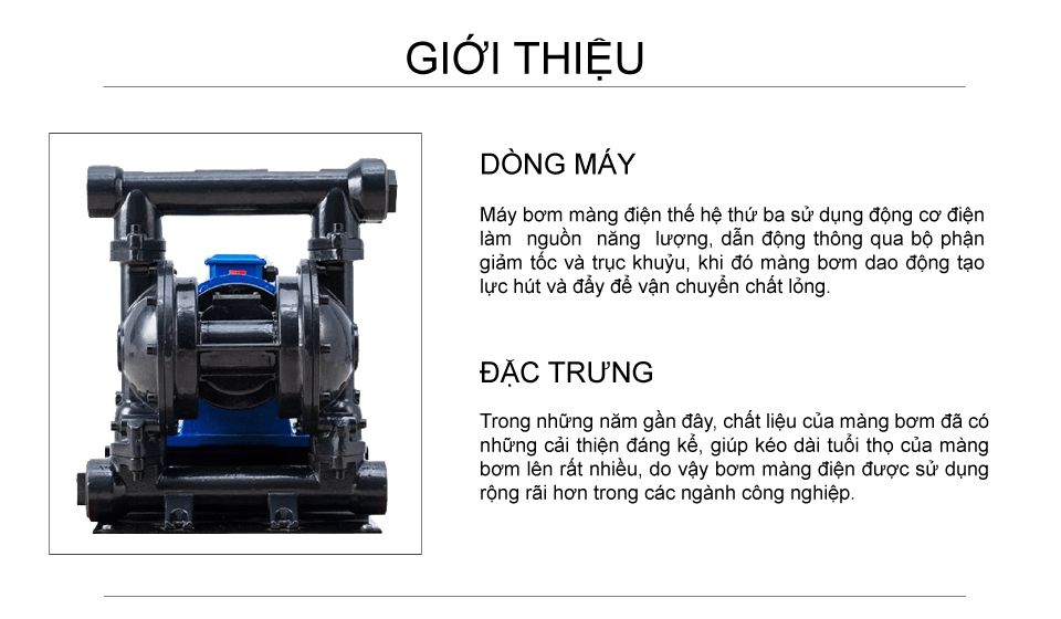 Máy bơm màng điện DBY3-65 Gang