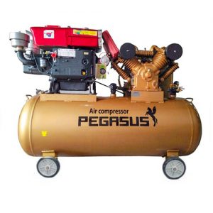 Máy nén khí Pegasus TM-W-2.0/12.5-500L đầu nổ