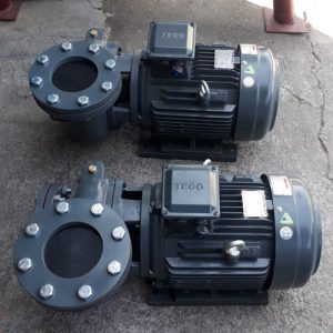 Bơm nước Teco G-3100-300-4P 100Hp 75Kw