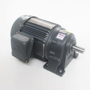 Động cơ giảm tốc Wanshsin chân đế 0.4kw 1/5