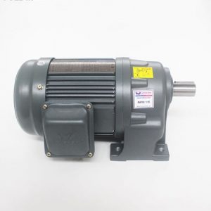Động cơ giảm tốc Wanshsin chân đế 0.4kw 1/15