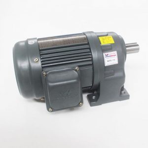 Động cơ giảm tốc Wanshsin chân đế 0.4kw 1/15