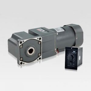 Motor giảm tốc Wanshsin mini 40W