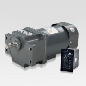 Motor giảm tốc Wanshsin mini 40W