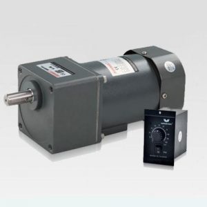 Động cơ giảm tốc Wanshsin mini 60W