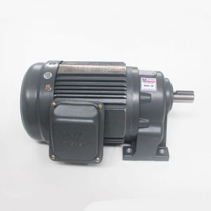 Motor giảm tốc Wanshsin chân đế 0.4kw 1/20