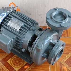 Bơm nước Teco G-315-80 4P 15Hp 11Kw