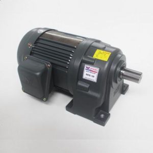 Động cơ giảm tốc Wanshsin chân đế 0.4kw 1/25