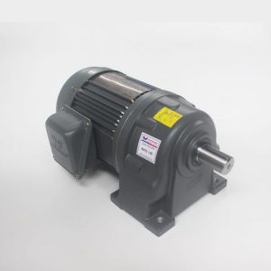 Động cơ giảm tốc Wanshsin chân đế 0.4kw 1/60
