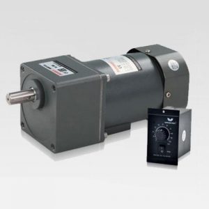 Motor giảm tốc Wanshsin mini 250W