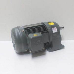 Motor giảm tốc Wanshsin chân đế 0.75kw 1/3