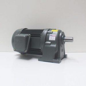 Motor giảm tốc Wanshsin chân đế 0.75kw 1/10