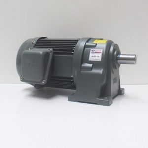 Motor giảm tốc Wanshsin chân đế 0.75kw 1/10