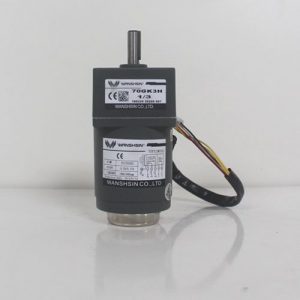 Động cơ giảm tốc Wanshsin mini 15W 1/3