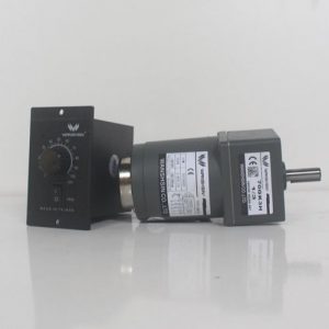 Động cơ giảm tốc Wanshsin mini 15W 1/3