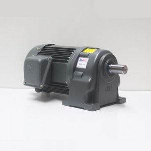 Động cơ giảm tốc Wanshsin chân đế 0.75kw 1/15