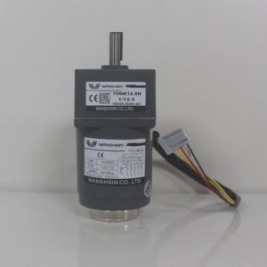 Động cơ giảm tốc Wanshsin mini 15W 1/12.5