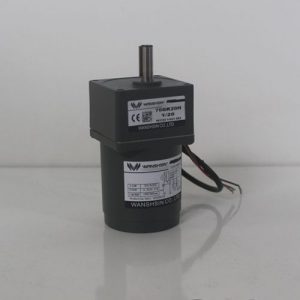 Motor giảm tốc Wanshsin mini 15W 1/20