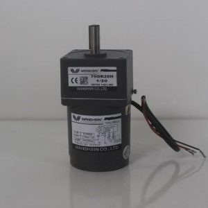 Motor giảm tốc Wanshsin mini 15W 1/20