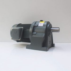 Motor giảm tốc Wanshsin chân đế 0.75kw 1/30