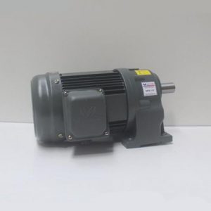 Động cơ giảm tốc Wanshsin chân đế 1.5kw 1/10