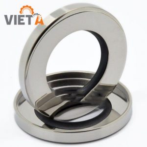 Phớt chặn dầu 70-100-10 loại hai môi