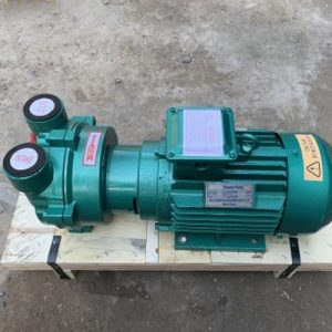 Bơm hút chân không vòng nước 2BV2071 (3.85Kw)
