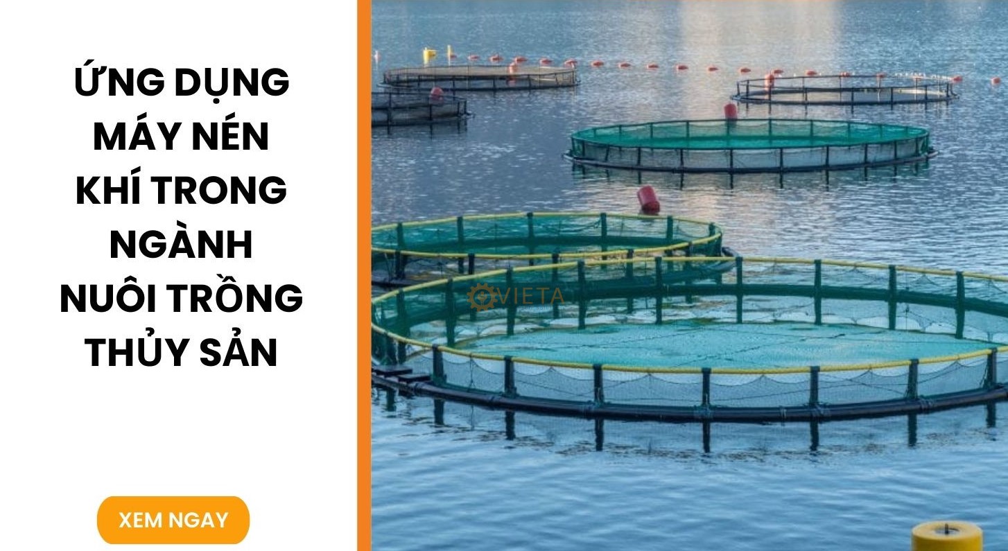 Ứng dụng Máy Nén Khí Trong Ngành Nuôi Trồng Thủy Sản
